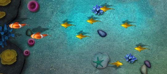 Multiple Fish Species